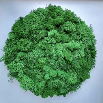 Эко светильники